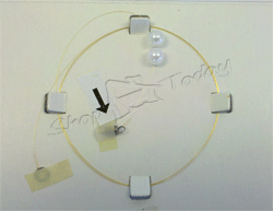 2999818 Corona Wire CPL (1000 mm length)  for use in OCE 9400II (Charge Only), OCE 9600, TDS300, TDS400, TDS450, TDS600 (Charge Only), Plotwave 340